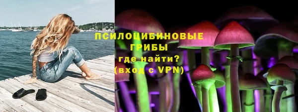 стаф Абдулино