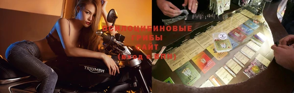 стаф Абинск