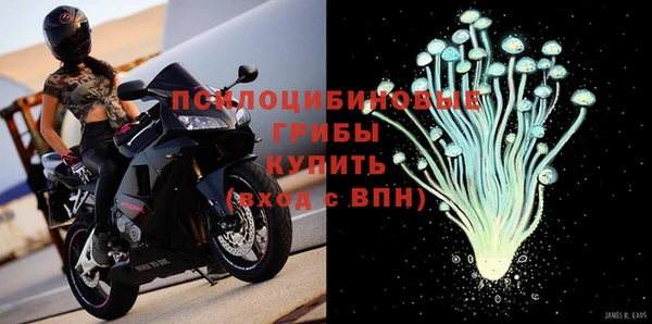 стаф Абинск
